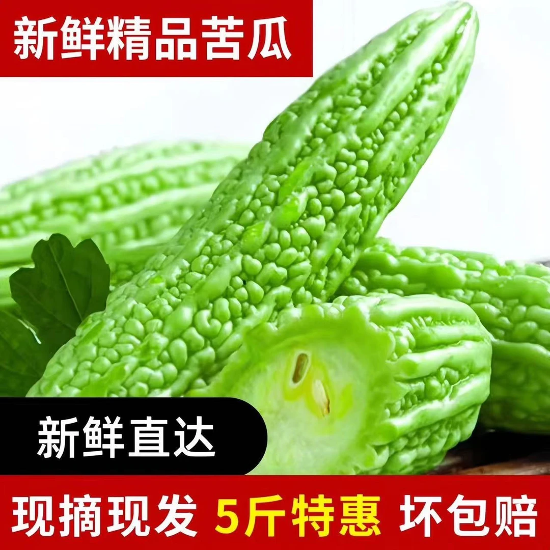 农家自种苦瓜凉瓜新鲜采摘脆嫩多汁新鲜发货天然种植可口