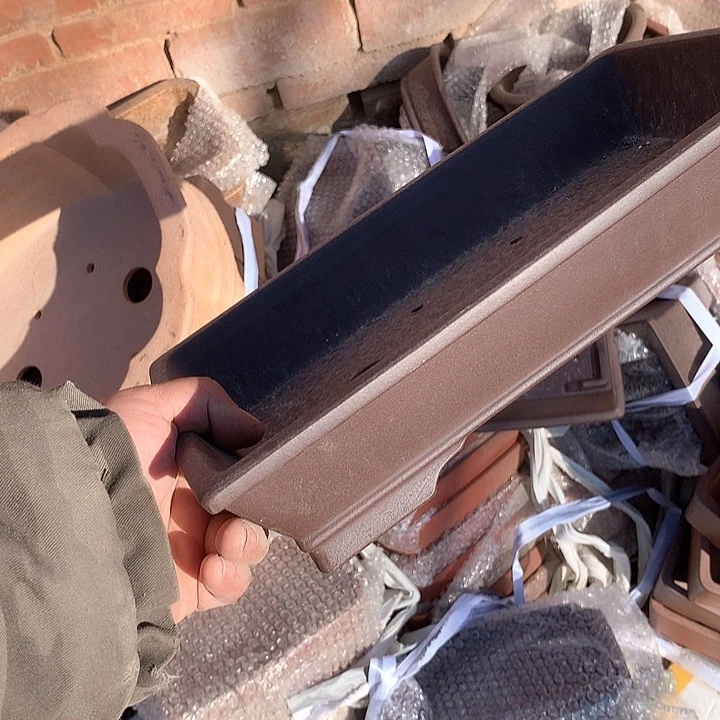 紫砂哈哈真的超级可爱哈哈哈