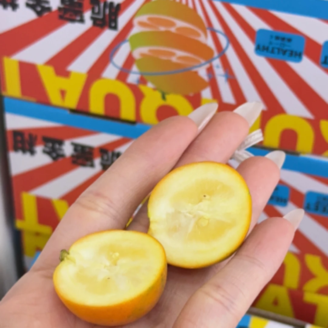 脆蜜金柑箱/25元