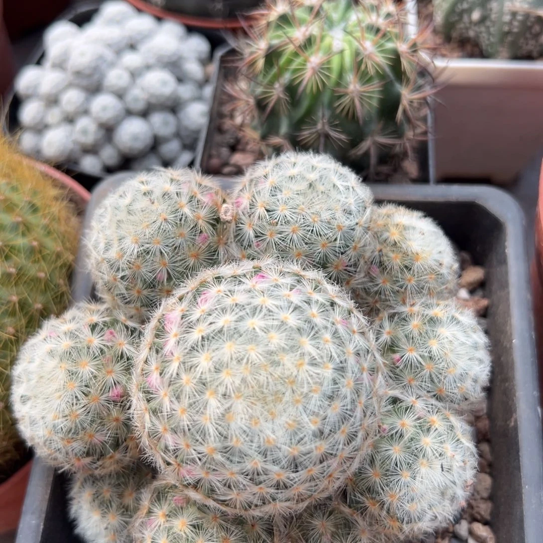 缱***辉零零落落 零零落落