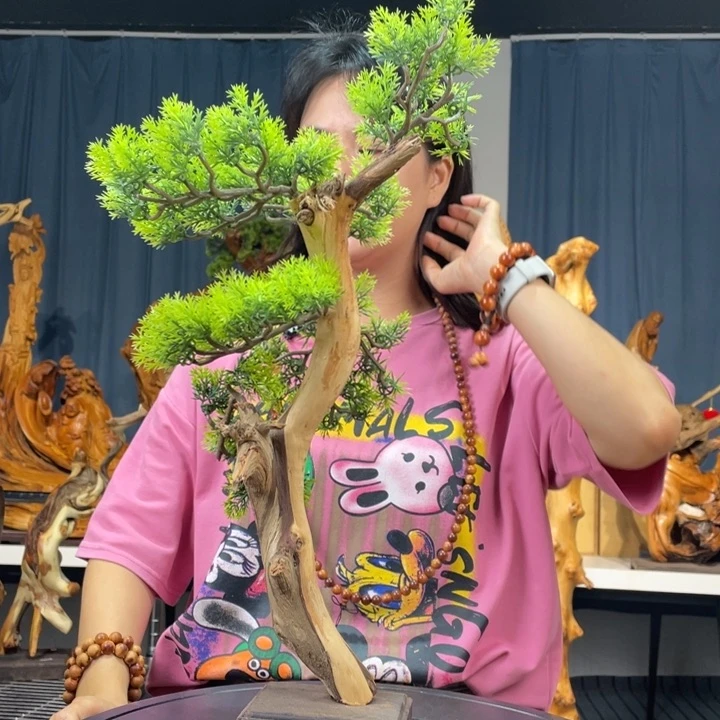 柏木（崖柏）迎客松