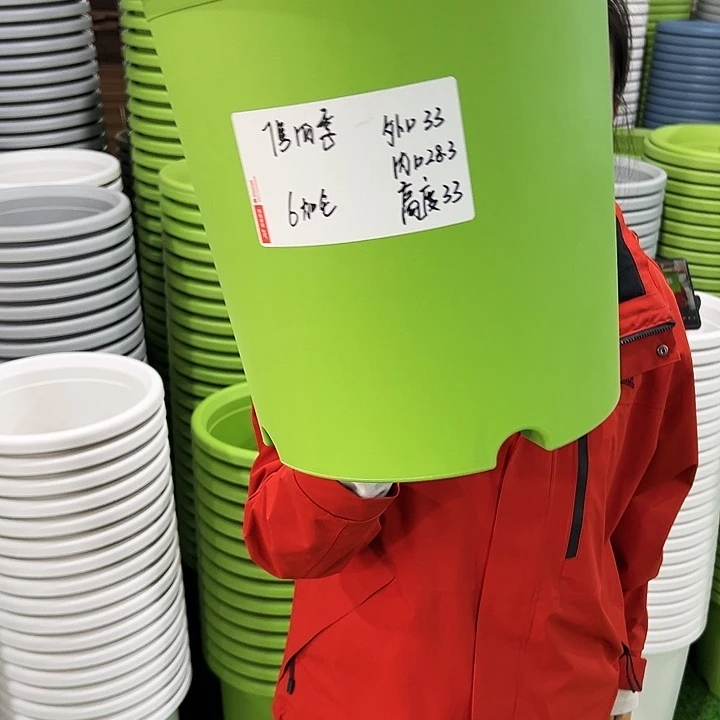 特价7号四季口33高33果绿无托6只