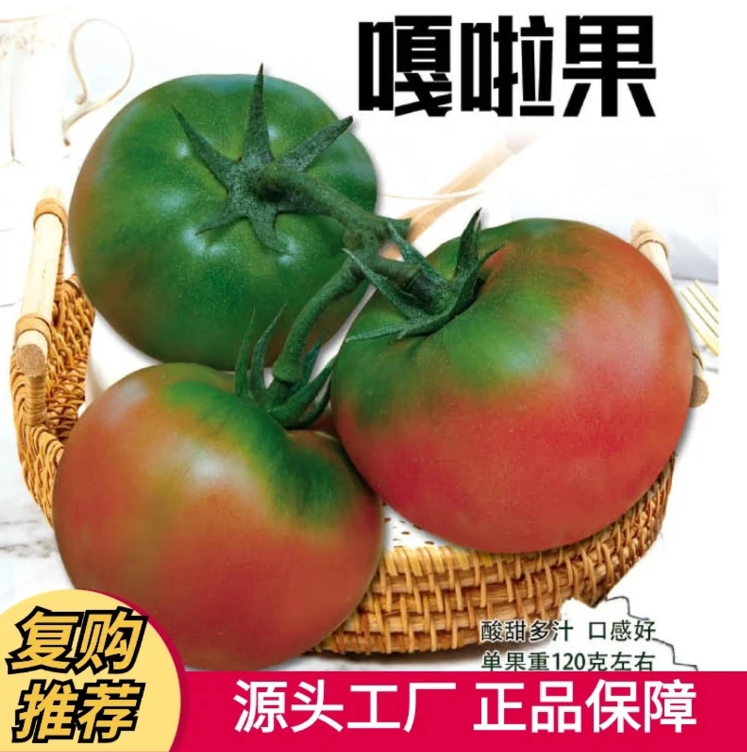 嘎啦果草莓番茄种子四季奶油番茄种子长椭圆形番茄水果味浓郁盆栽