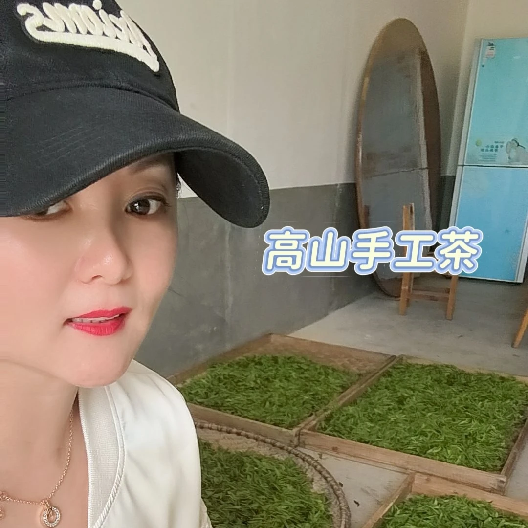 新茶明高山清香型黄金芽茶叶罐装礼盒装高山茶手工