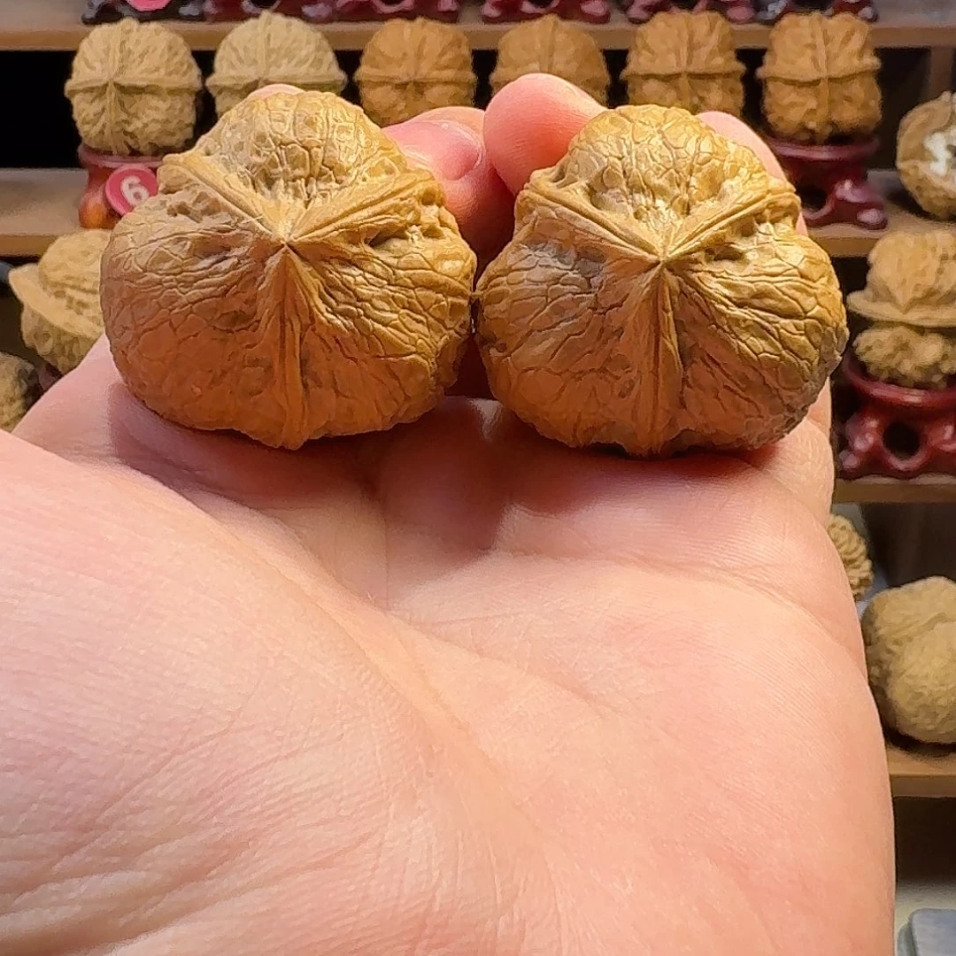 把件文玩核桃龙龟甲三棱 奔驰40尺