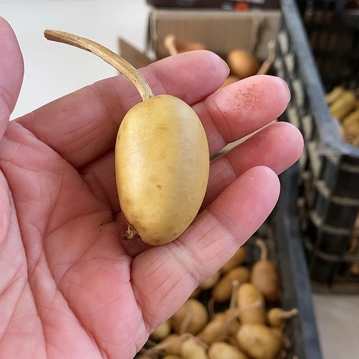 w dhk k b j n k k x