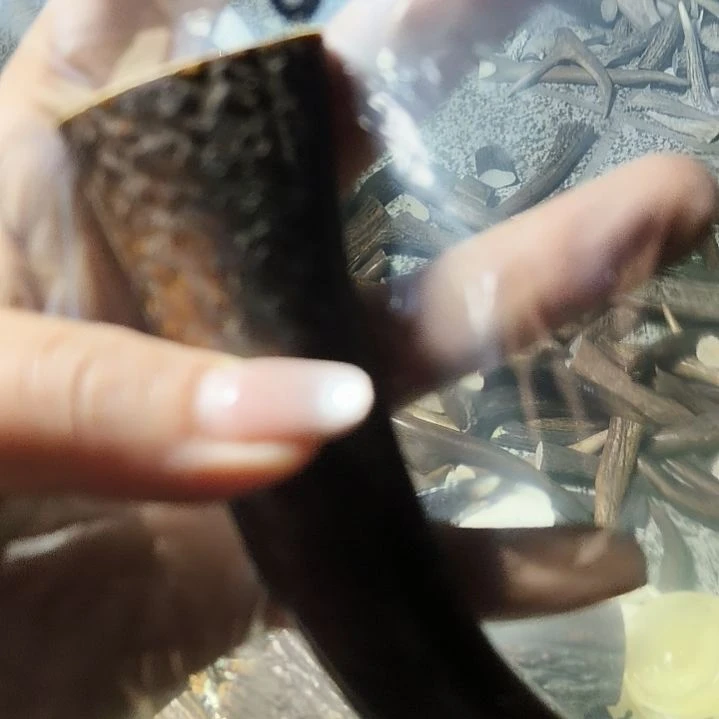 禁***区非金属无鹿角鹿角鹿角
