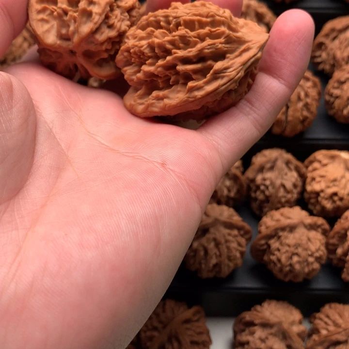 其他核桃U****内秦岭山脉和黄土