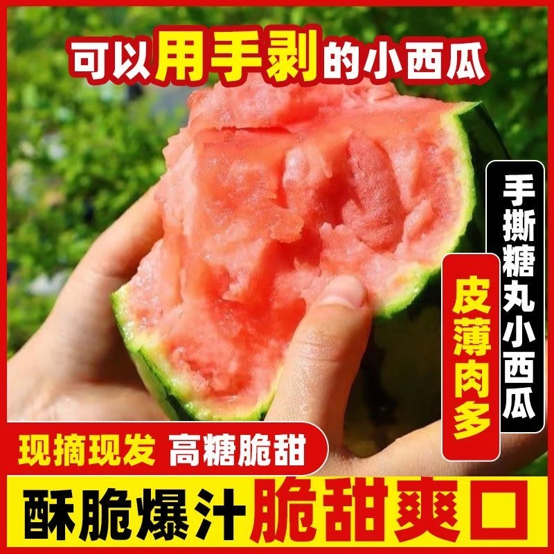 山东香山山地全美2k冰麒麟宝宝孕妇都可吃 超甜超好吃