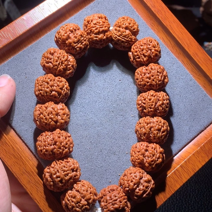 菩提籽类21+五面龙定制