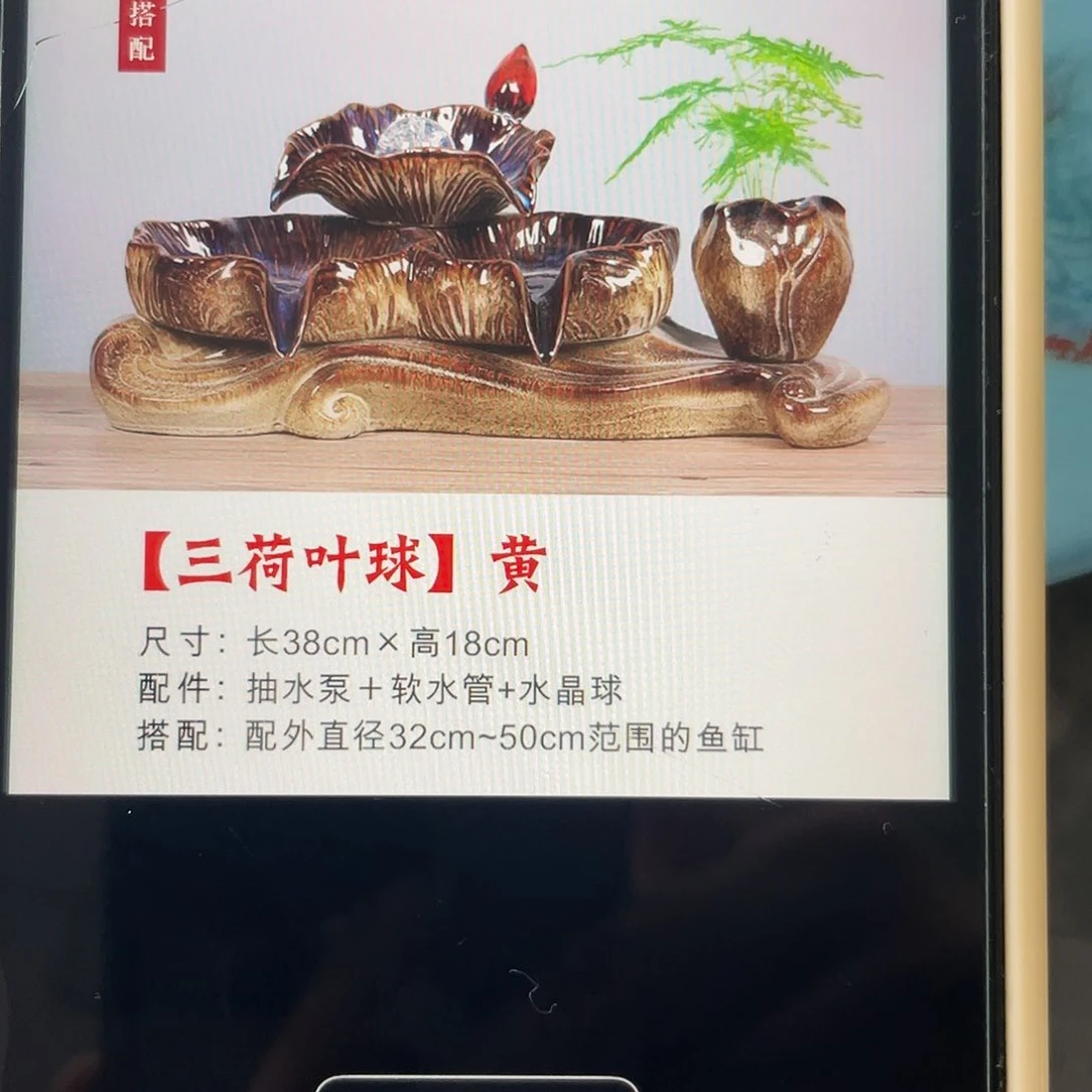 缸38厘米三叶荷黄色