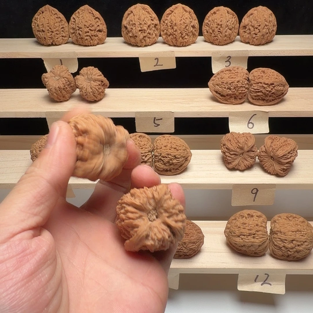 大叶紫檀（黑酸枝木类）