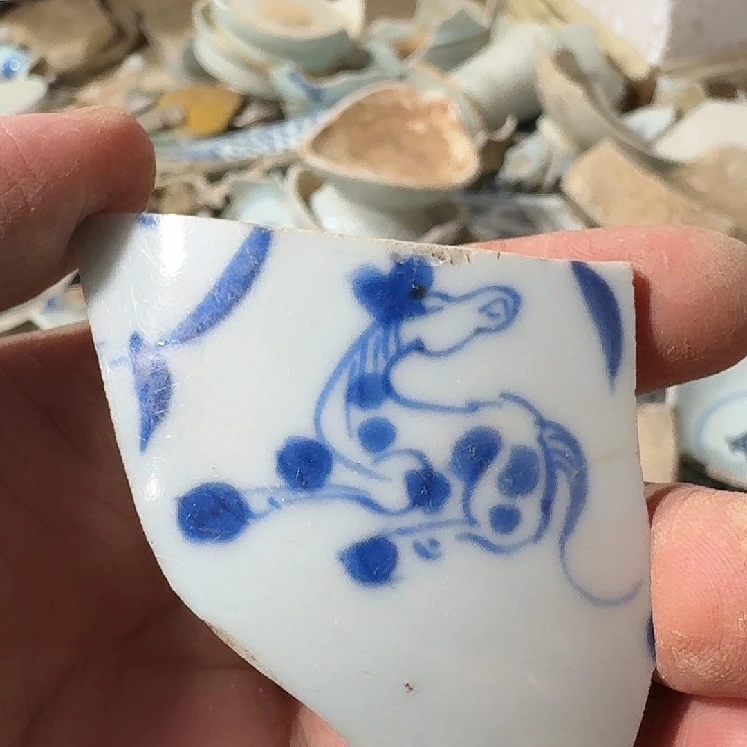 汪***磊瓷片瓷片标本，顺丰包邮