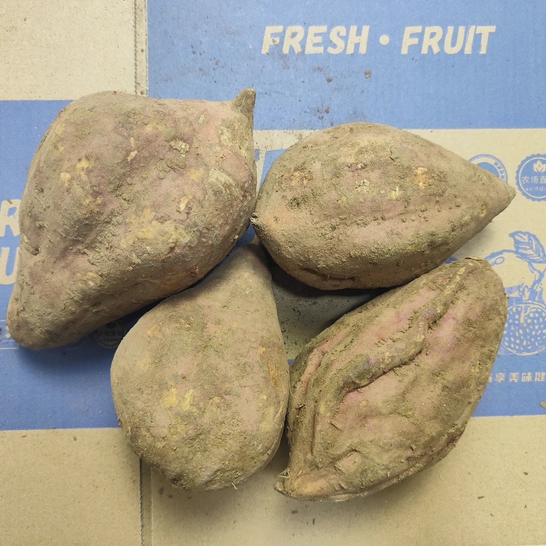 西瓜红次薯 没断没坏 果型不好有虫眼 煮粥炸丸子首选