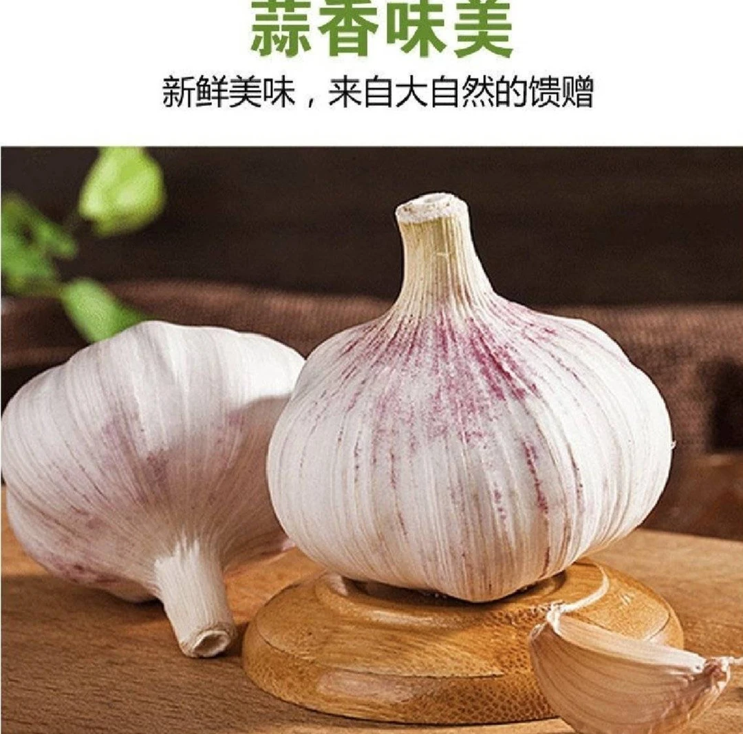 湖南湘西农家自种正宗紫皮大蒜饱满新鲜干蒜