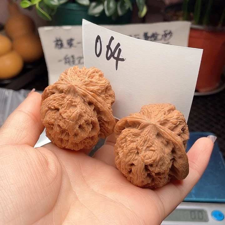 45尺寸白茬没修将军榜