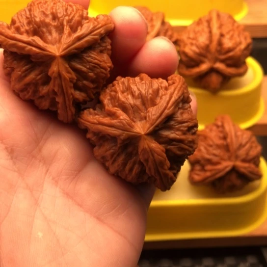 乐***儿核桃核桃核桃核桃核桃