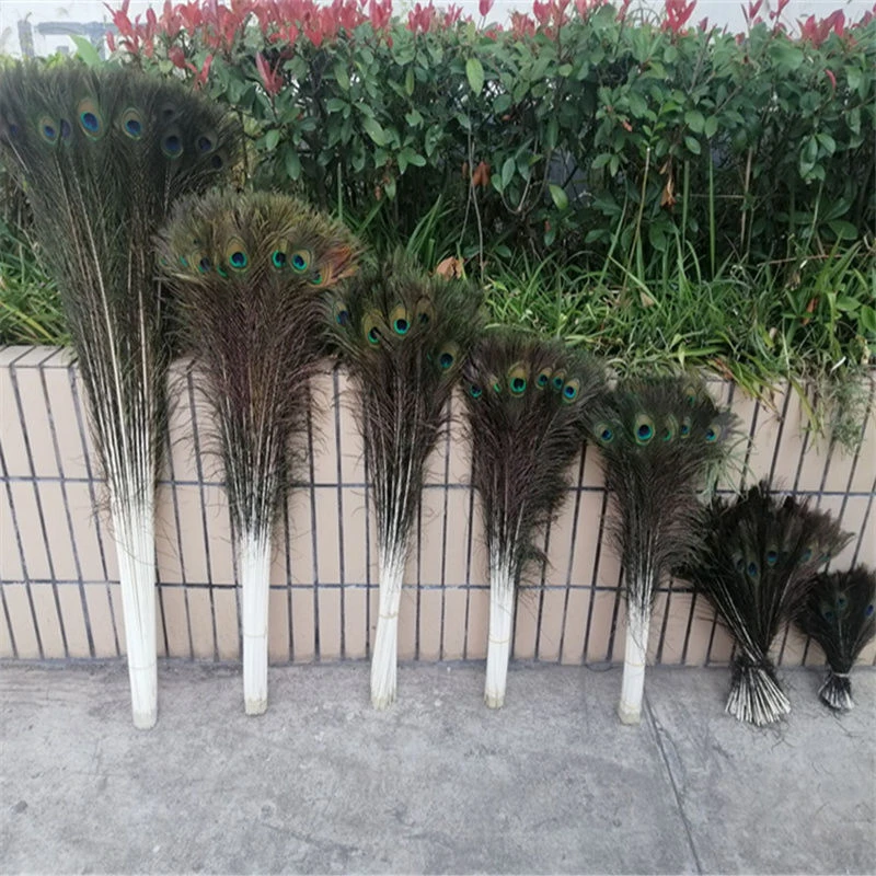 真翎天然摆件DIY隔断工艺装饰品大眼睛珐琅彩家居彩色大号尾孔雀