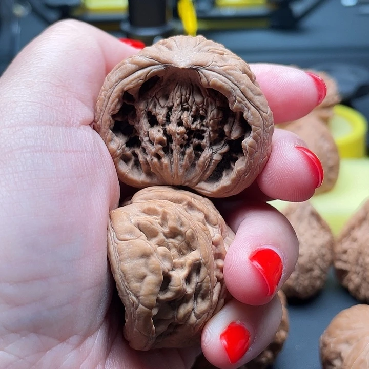 哈**?全品无修聚宝盆40