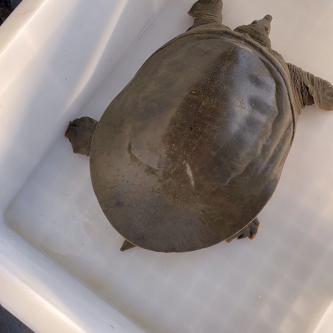 中国大陆12345678