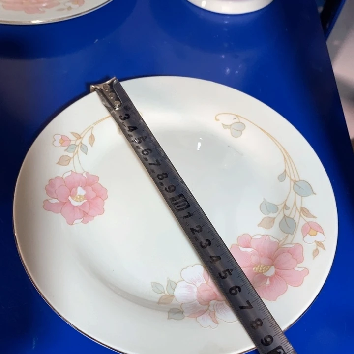 瓷片春蕾象牙瓷盘子