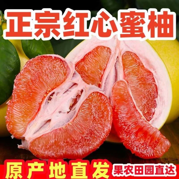 【三农之家】福建平和正宗琯溪柚子红心薄皮孕妇当季水果新鲜采摘