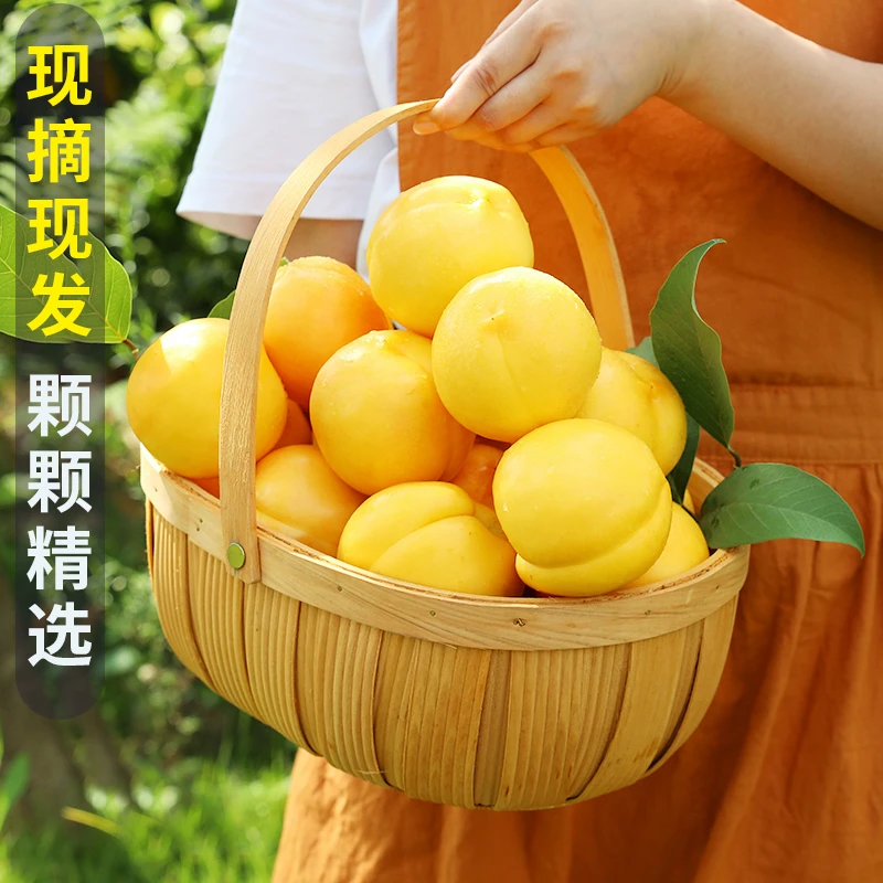 山东蒙阴黄油桃黄菊油桃新鲜现发皮薄香甜脆软两吃