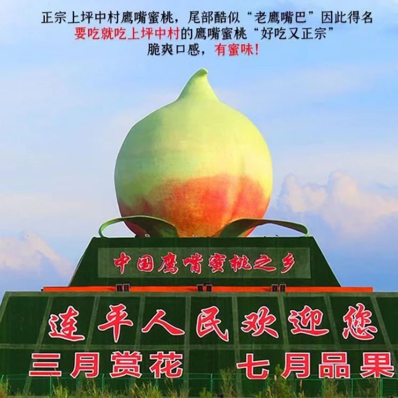 包邮广东河源鹰嘴桃连平多汁脆甜现上坪当季新鲜水果摘现发