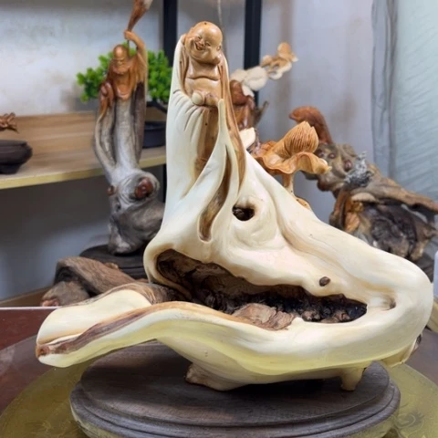 柏木（崖柏）双***哥v v b n n n n m m k