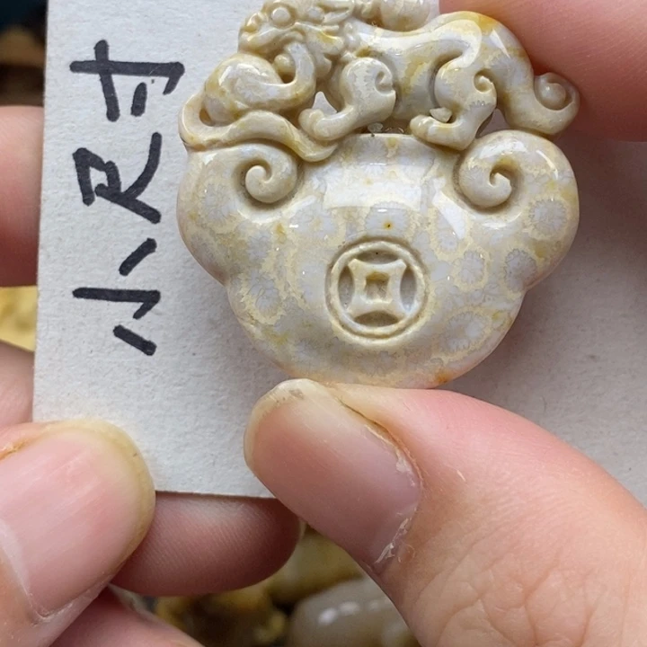 硅化珊瑚（珊瑚玉）未镶嵌颈饰