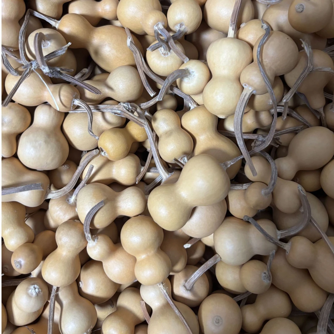 文玩葫芦直播专用链接2