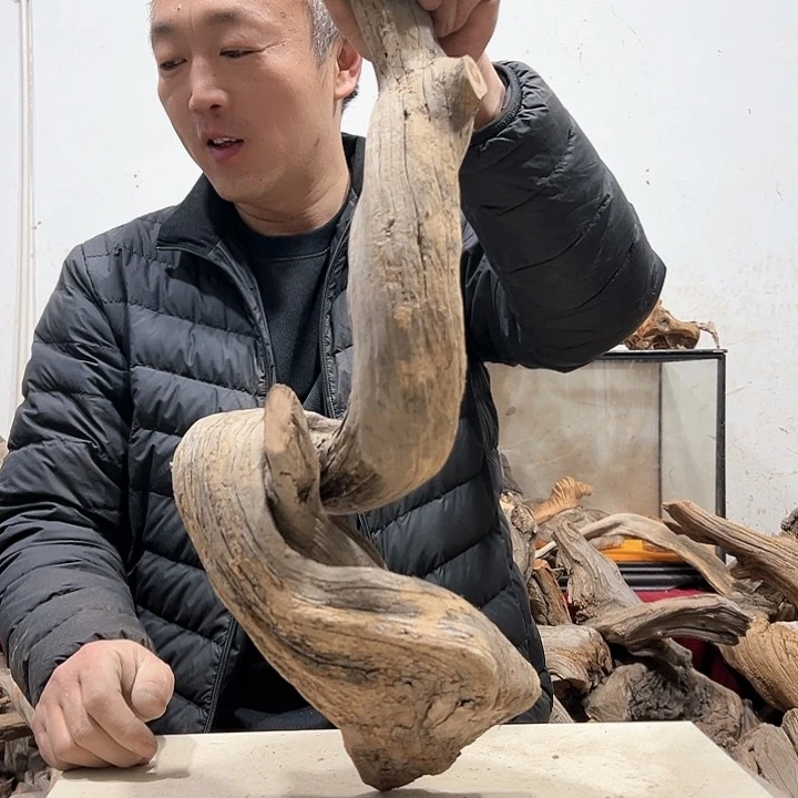 柏木旺**行我们的生活也是如此