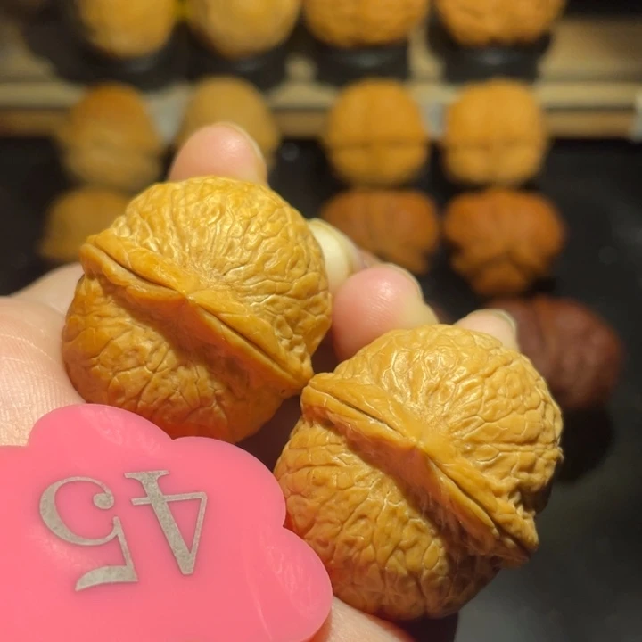 龙珠33尺寸核桃。