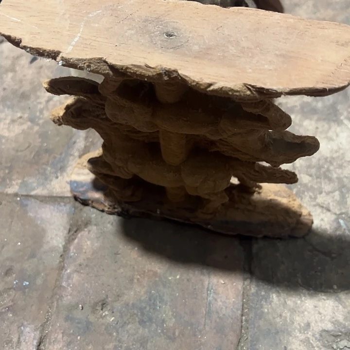 花梨木类8888888888888