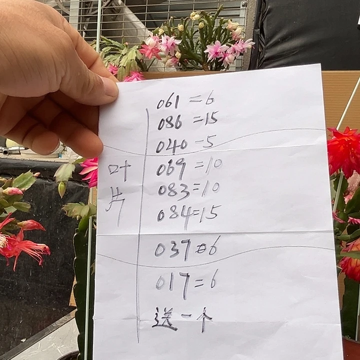 完全开放八种叶片