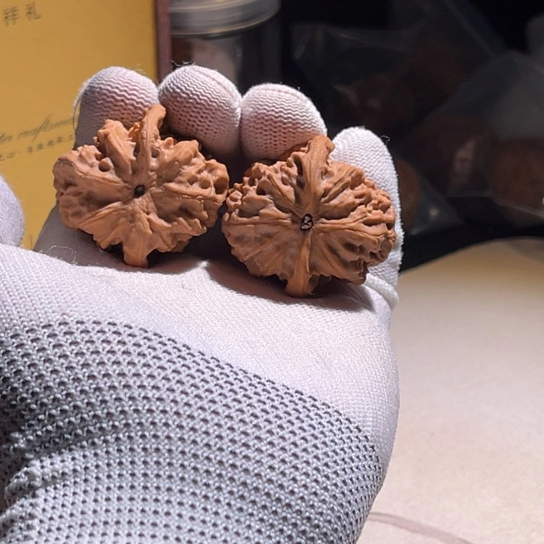 Z***g野狼野狼野狼野狼。