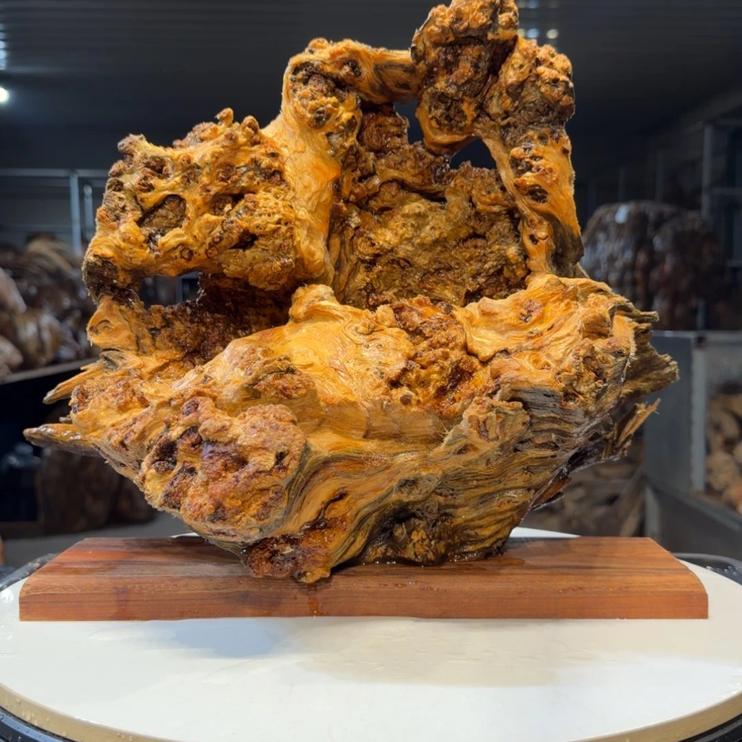 大***礼木王一刀琥珀木摆件140