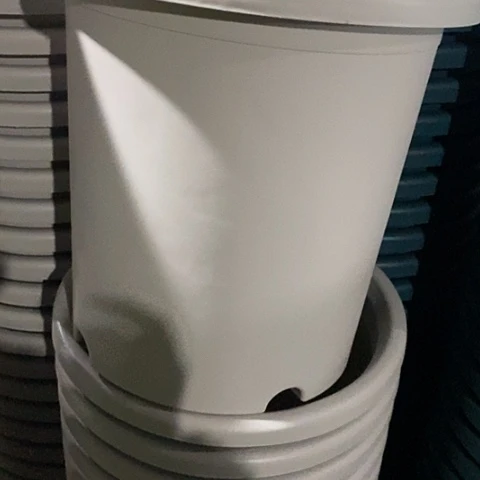 树脂四季6号灰白无托6个特价