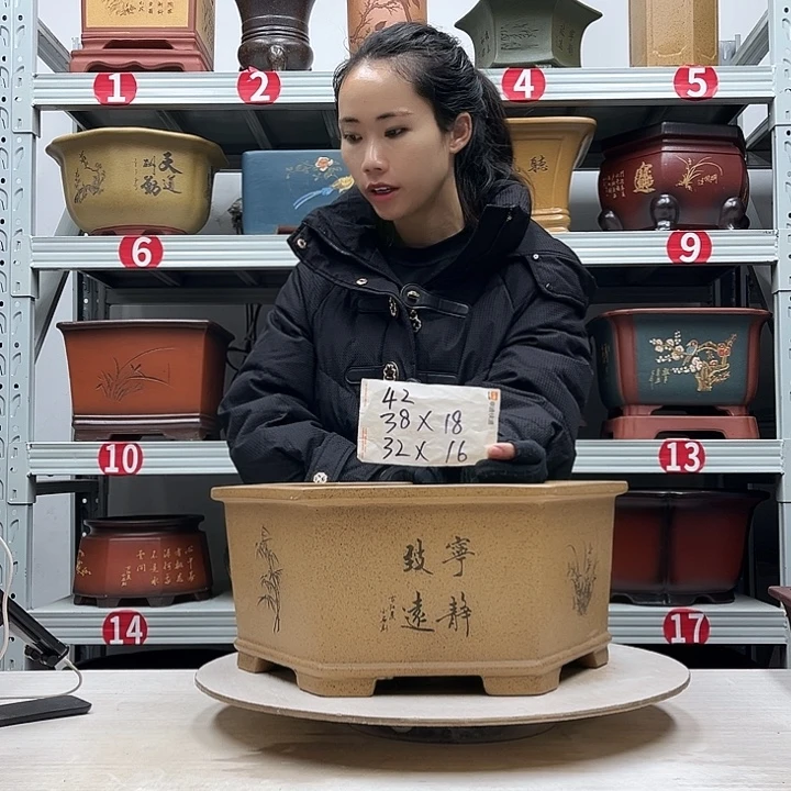 紫砂花盆紫砂花盆