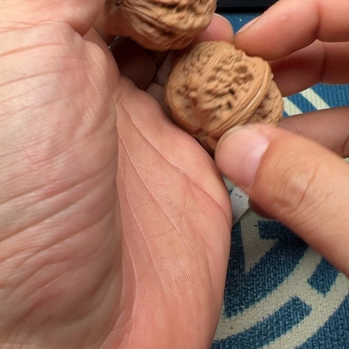 桃核吊坠玉尊40核桃