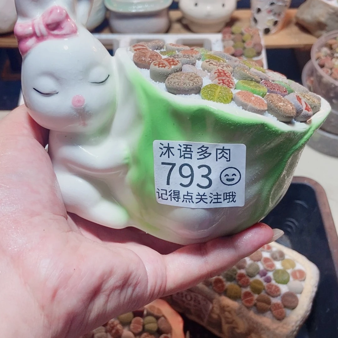 一物一拍 所见即所得793