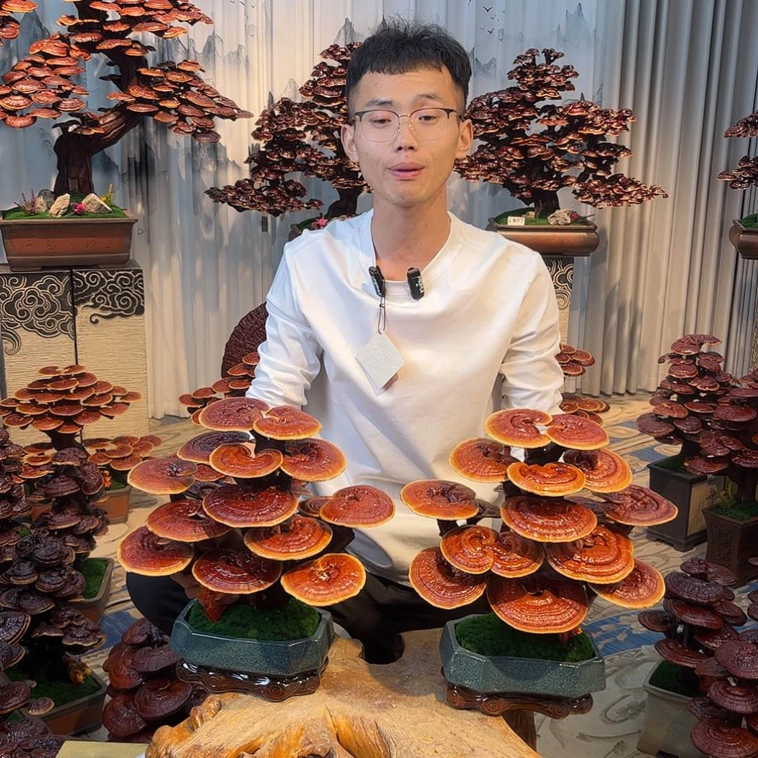 无花朵8888888888888