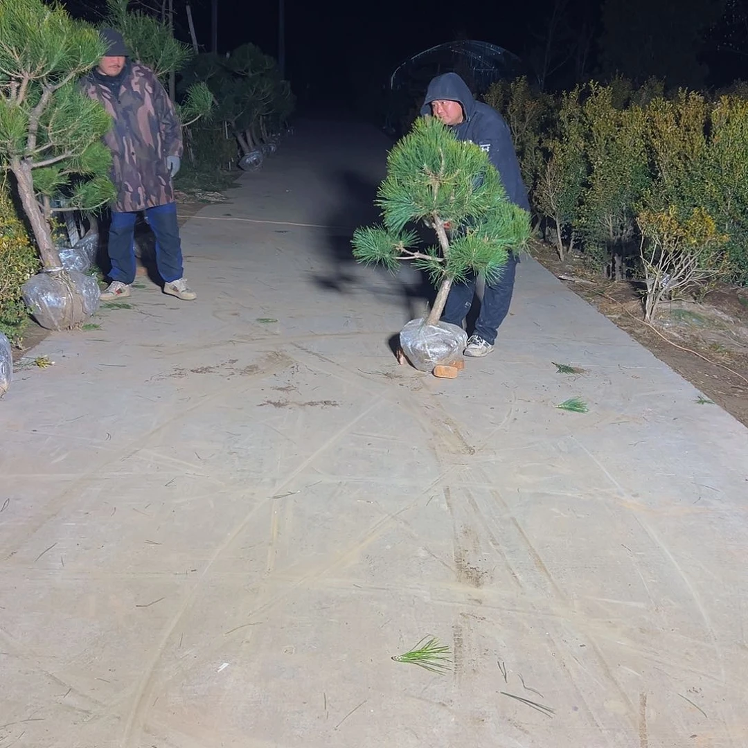 随**看8888888888888888