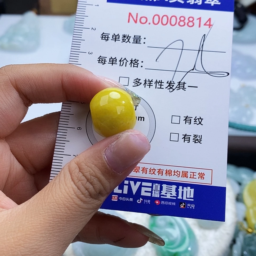 翡翠未镶嵌颈饰8814