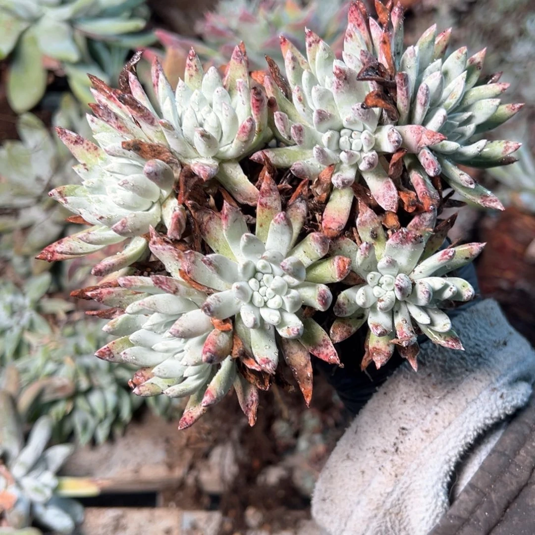 8011哈哈哈哈哈哈哈哈