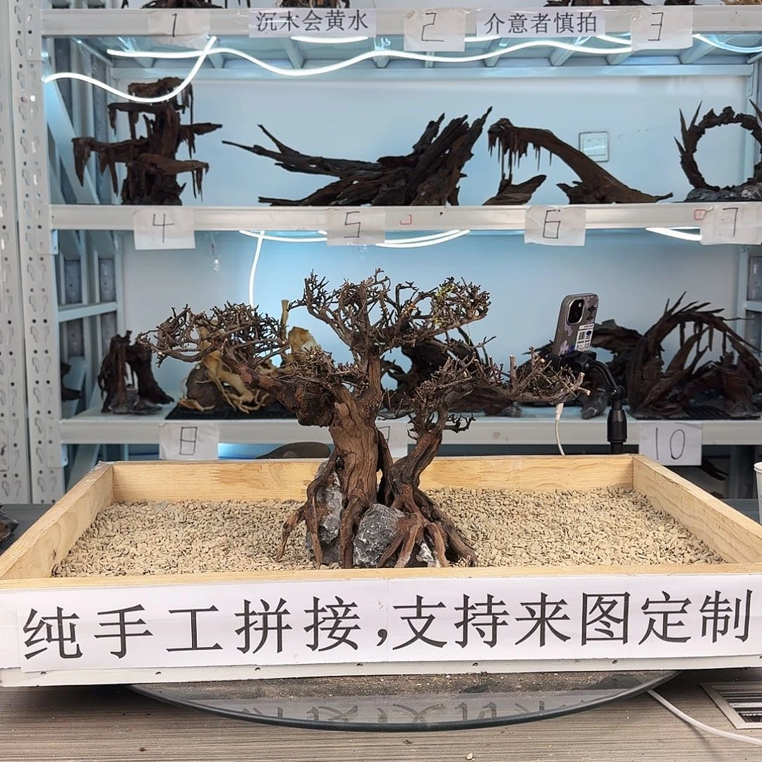 沉木造景沉木造景
