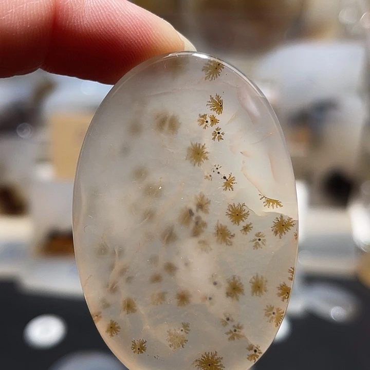 未镶嵌发饰玛瑙/玉髓