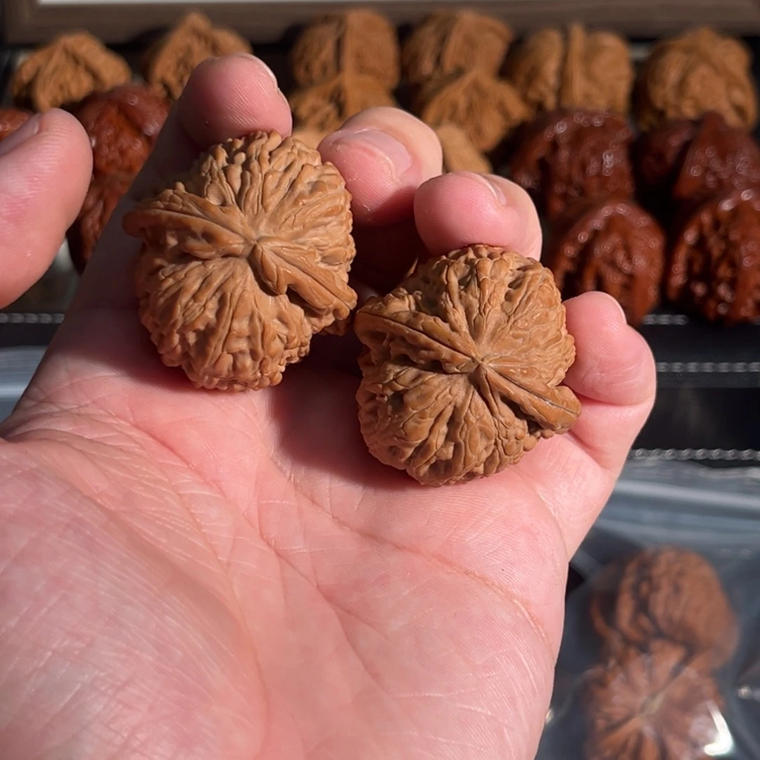 核桃手串/手链d*37全品球白