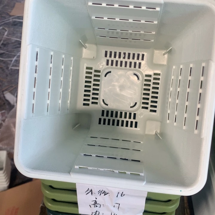 16口奶白无托6个瑕疵