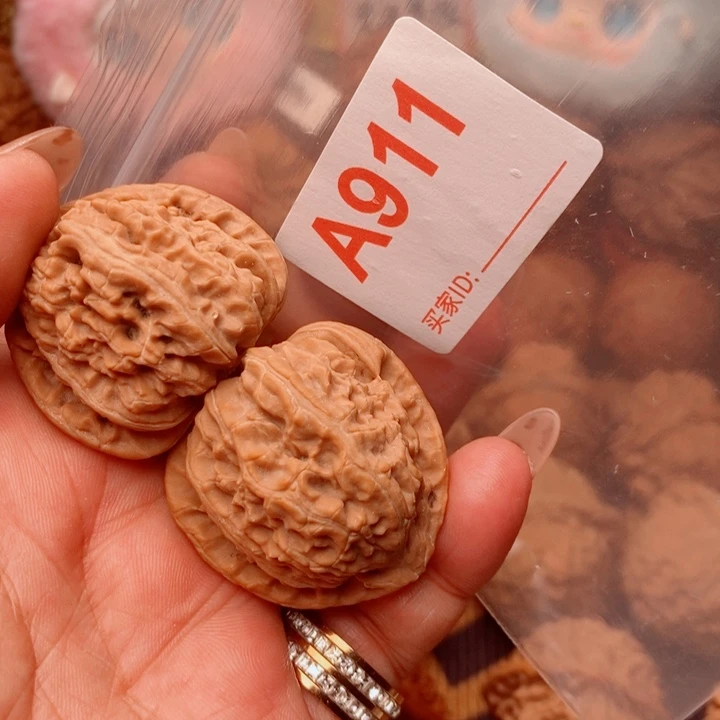 白狮子38尺911号123